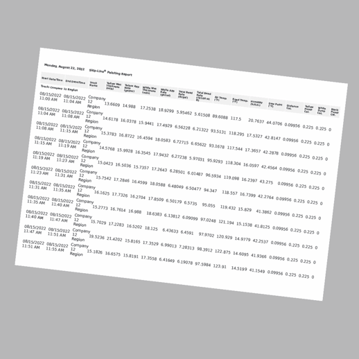 Quality 1 Mile Segmented Report Sample Preview-01